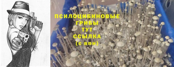 марки lsd Алексин