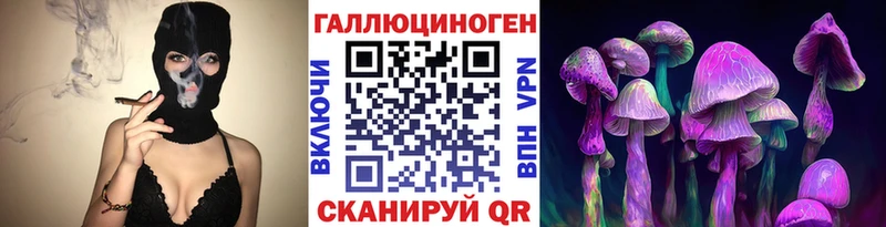 Галлюциногенные грибы MAGIC MUSHROOMS  цены наркотик  Чекалин 